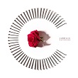 coldrain_fateless